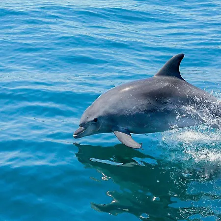 Apartment Luxury Wstunning Sea Views, Walk Albufeira