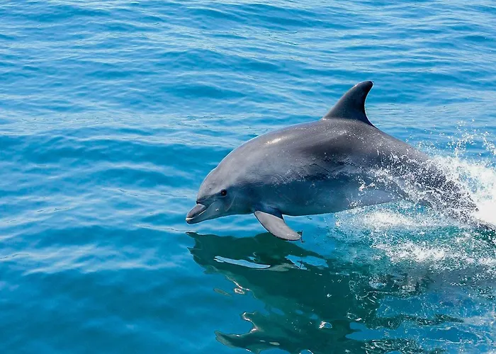 アパート Luxury Wstunning Sea Views, Walk アルブフェイラ