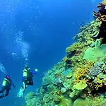 Luxury Wstunning Sea Views, Walk Албуфейра